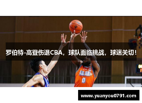 罗伯特-高登伤退CBA，球队面临挑战，球迷关切！